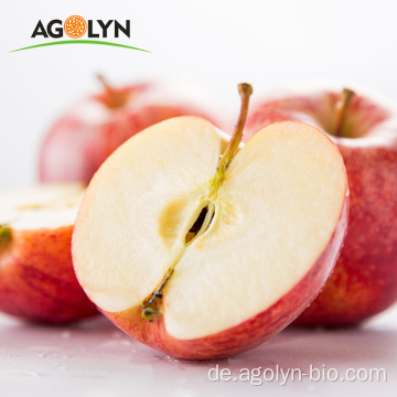 Gute Qualitätsfabrik liefert große frische Äpfel